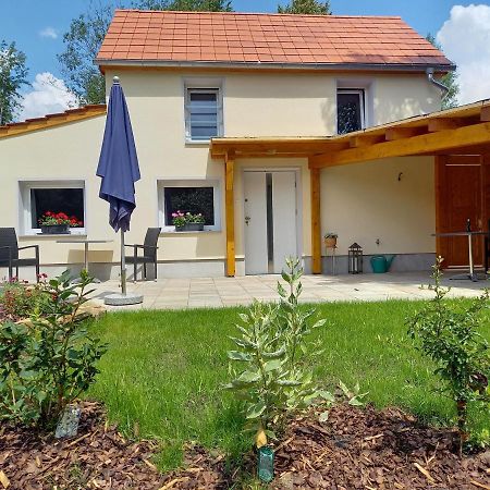 Ferienhaus Richtermuehle Sebnitz Buitenkant foto