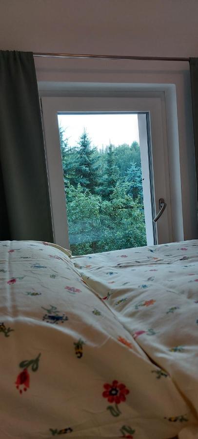 Ferienhaus Richtermuehle Sebnitz Buitenkant foto